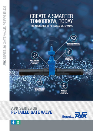 Series 36 89 PE Tailed Gate Valve Brochure Create a Smarter tomorrow today